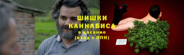 молекула духа Гусиноозёрск