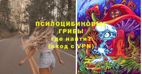 молекула духа Гусиноозёрск