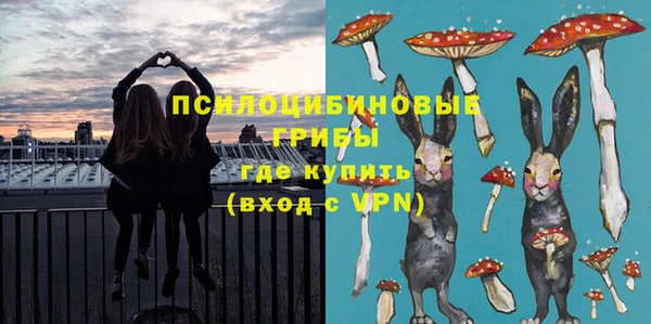 молекула духа Гусиноозёрск