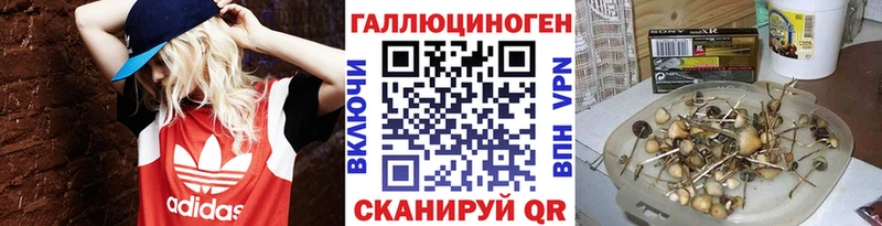 Купить  Кувшиново  Псилоцибиновые грибы Magic Shrooms 